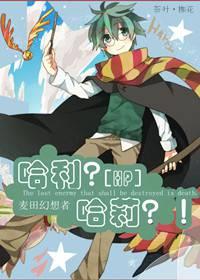 ���������򣿣�